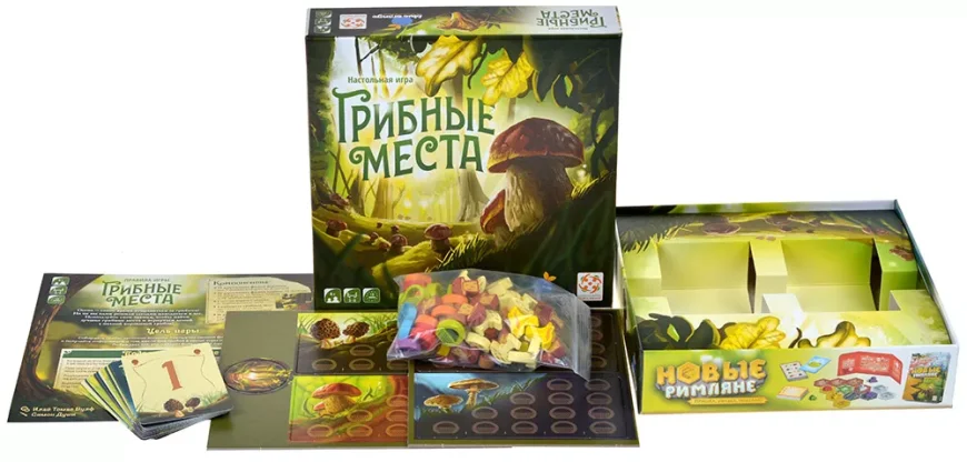 Грибные места фото 3